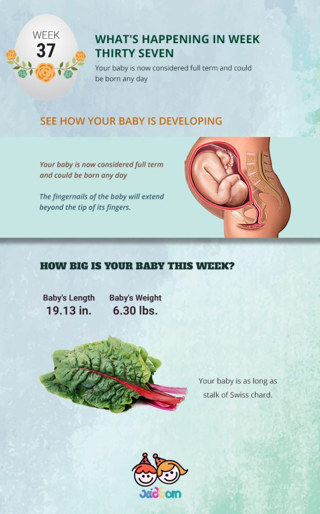 pregnancy-week-37-pregnancy-changes-week-by-week-kidborn