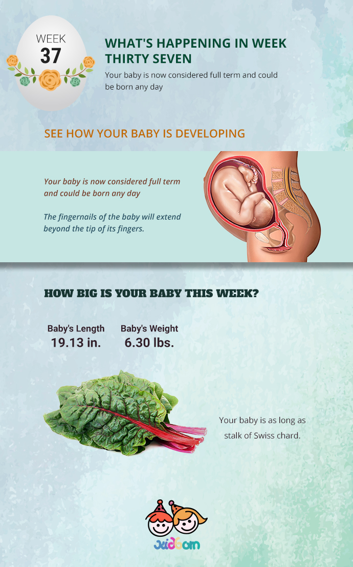 Pregnancy week 37 Pregnancy changes week by week Kidborn